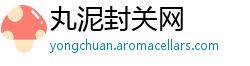 丸泥封关网